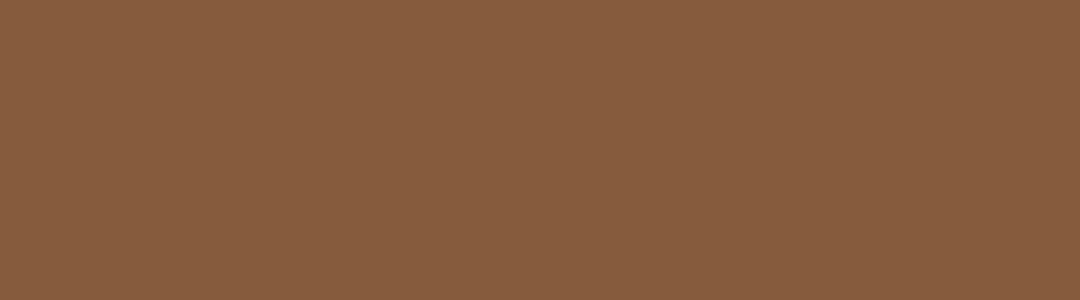 Fitzpatrick scale: Dark brown skin type